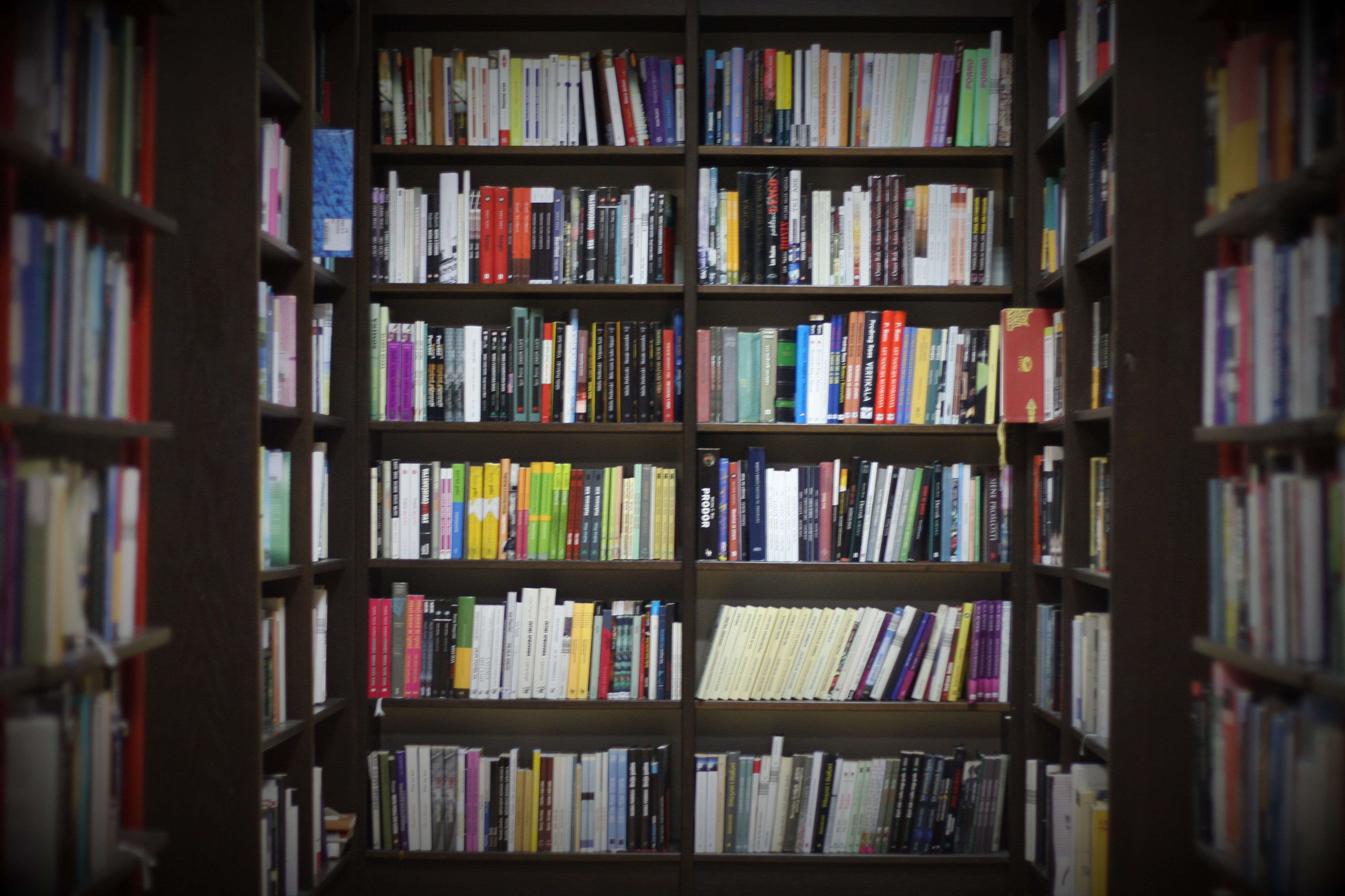 Degree in Library Science – Digital Knowledge Era