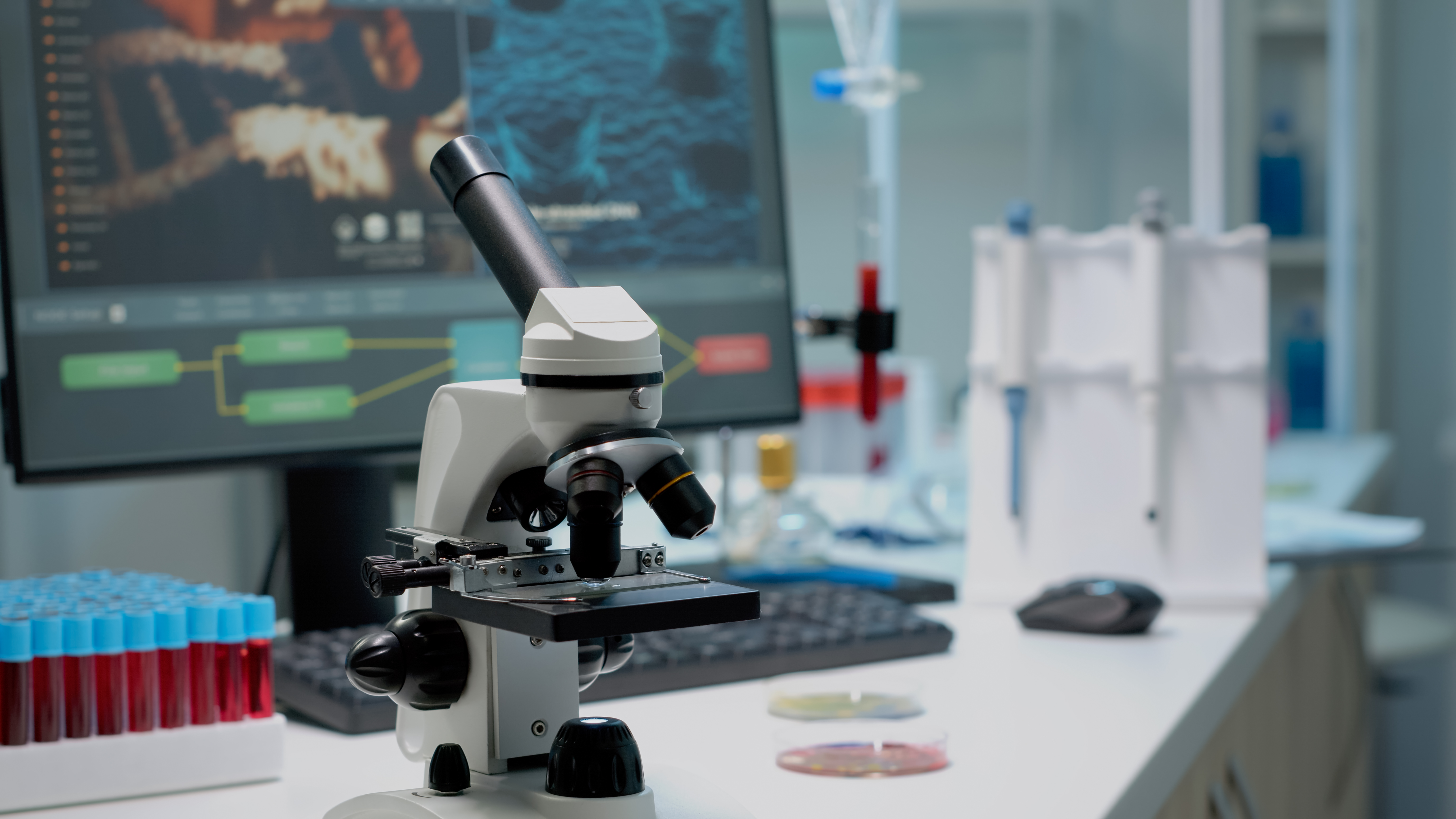HSS Courses at DY Patil for career growth in Science & Humanities